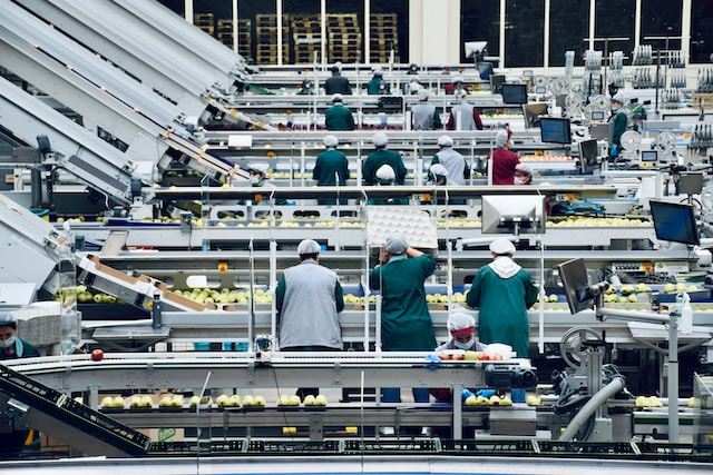 Several people working on a conveyor belt.